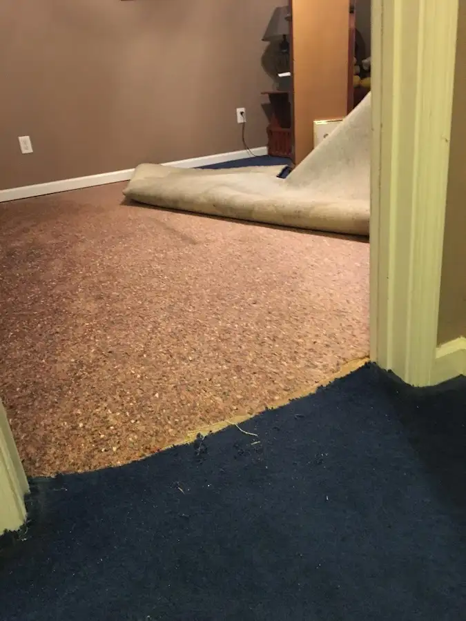 Carpet pad removal revealing water damage during Water Mitigation Services in Paw Paw