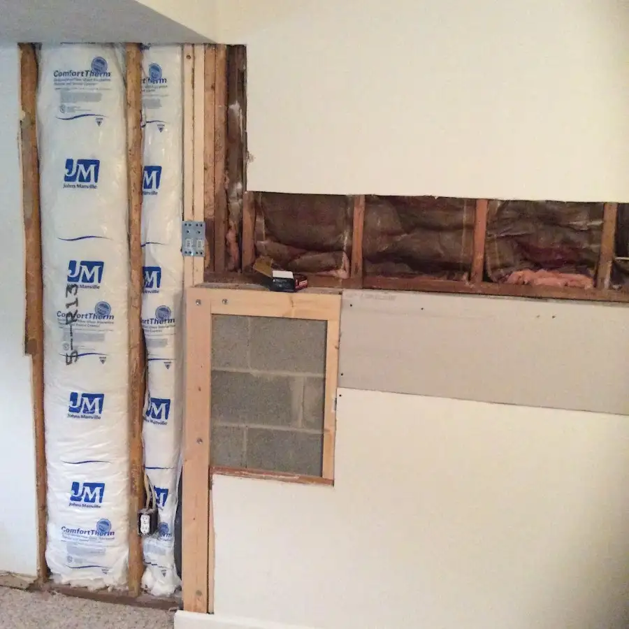 Wall insulation replacement during Odor Removal & Deodorization in Paw Paw